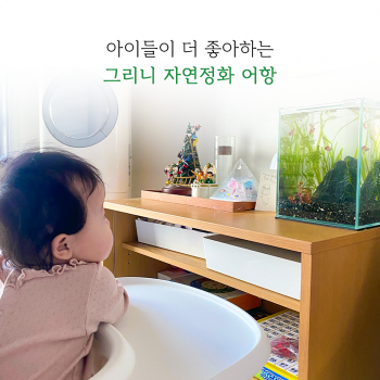 그리니 자연정화 어항 세트